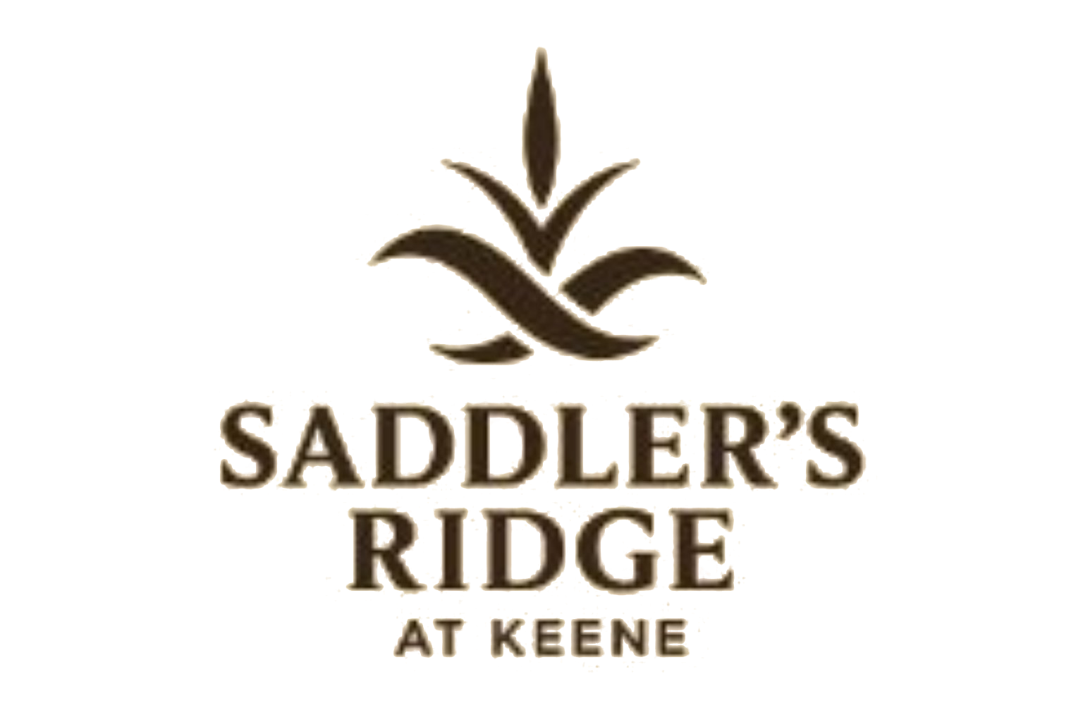 Saddler's Ridge at Keene